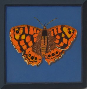 Un papillon francais #3, 2016, Gouache on board, 18 x 18cm