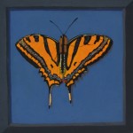 Un papillon francais #1, 2016, Gouache on board, 18 x 18cm