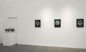 Il faut cultiver notre jardin exhibition view, photo Brenton McGeachie